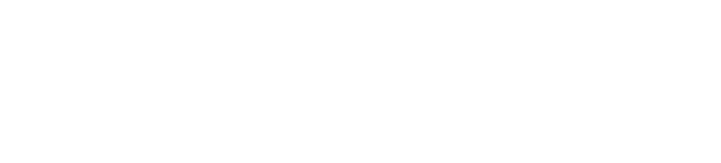 logo light